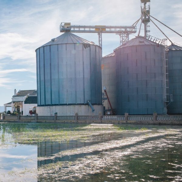 biogas